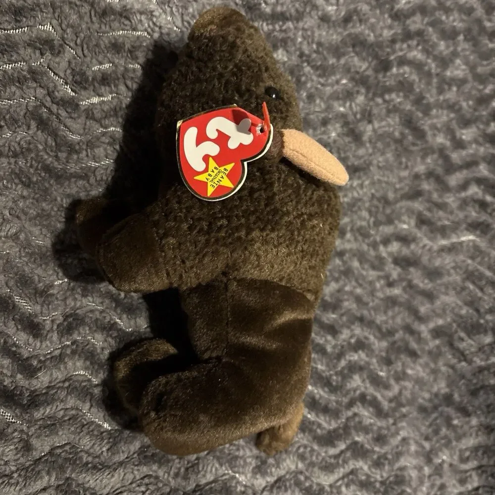 Ty Beanie Babies Lot of 4 Hope, Tuffy, Roam, Bruno